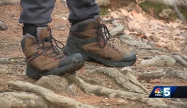 Hikers helped by New York forest rangers after eating hallucinogenic mushrooms