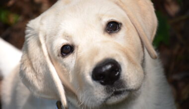 Yahoo lifestyle home