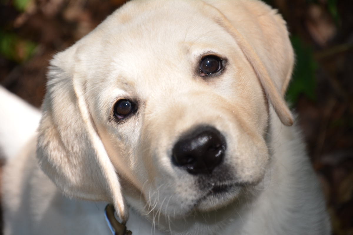 Yahoo lifestyle home