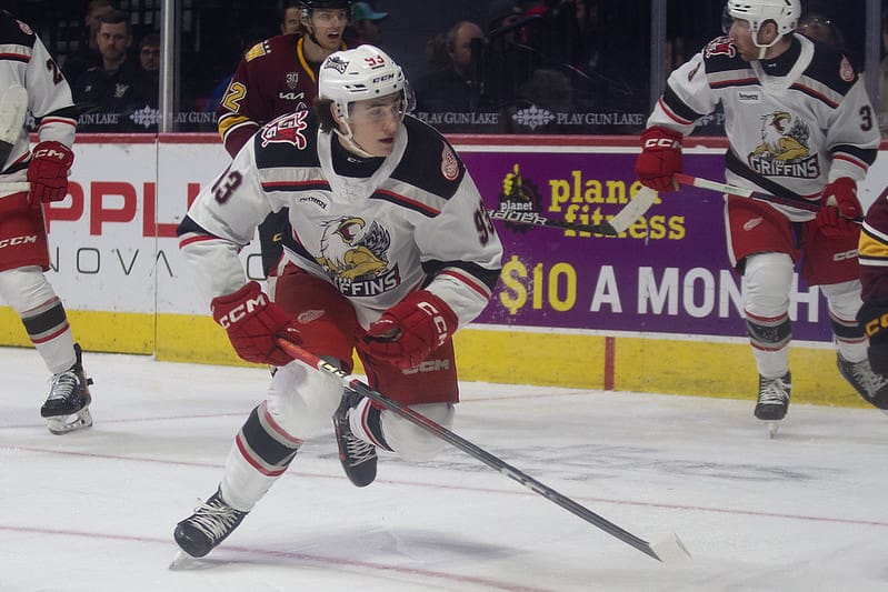 Amadeus Lombardi, red wings