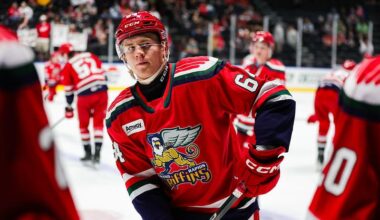 Michael Brandsegg-Nygard, Red Wings