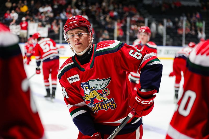 Michael Brandsegg-Nygard, Red Wings