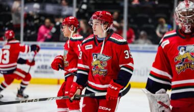 Axel Sandin Pellikka, Red Wings