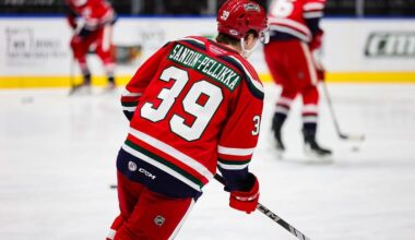 Axel Sandin Pellikka, Grand Rapids Griffins,