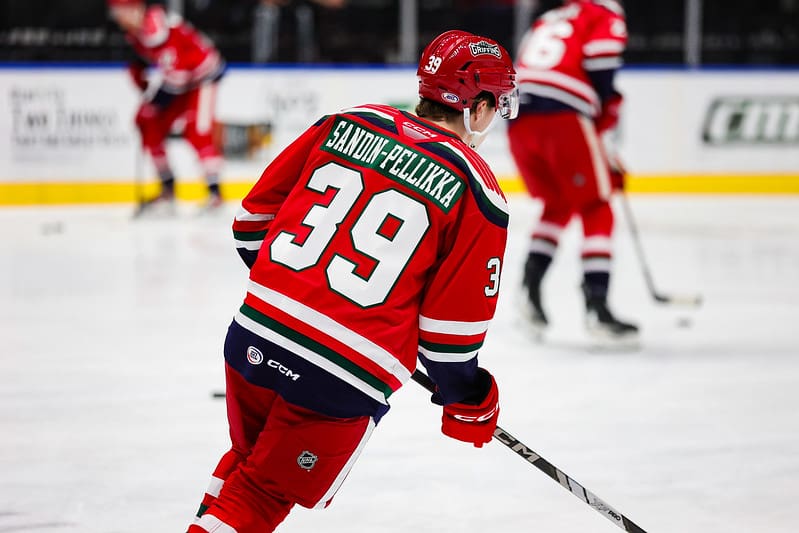 Axel Sandin Pellikka, Grand Rapids Griffins,