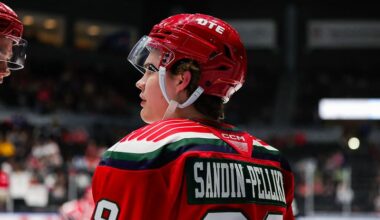 Axel Sandin Pellikka, Red Wings