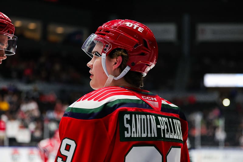 Axel Sandin Pellikka, Red Wings