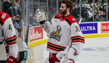 Sebastian Cossa, detroit red wings