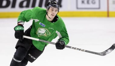 Lost in the Chaos of the Stolarz Debacle, the Leafs Organization Signs 30-Goal Scorer - Maple Leafs Daily