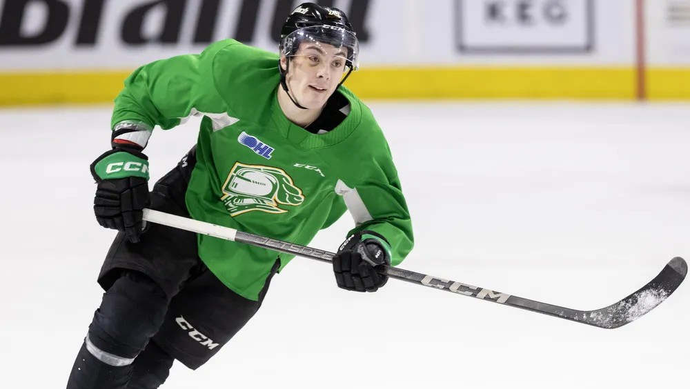 Lost in the Chaos of the Stolarz Debacle, the Leafs Organization Signs 30-Goal Scorer - Maple Leafs Daily