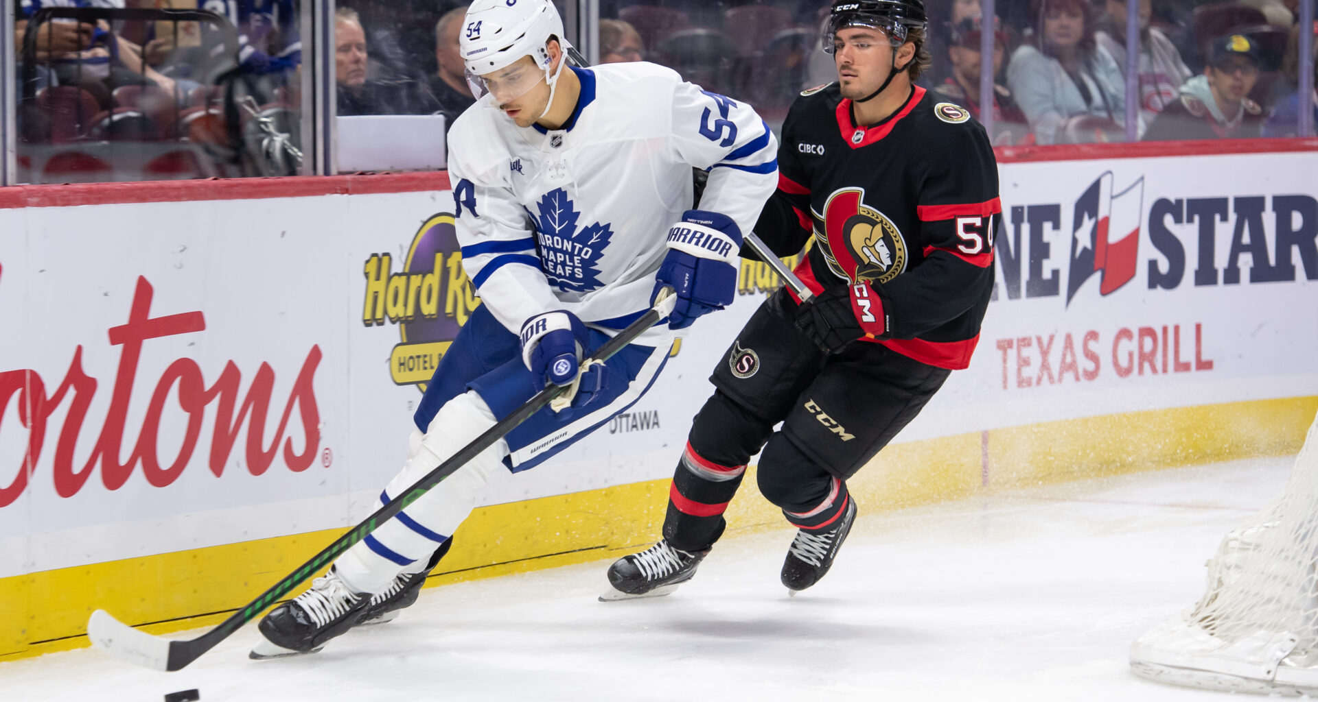 Maple Leafs Organization Reportedly Loses Defenseman to European Team