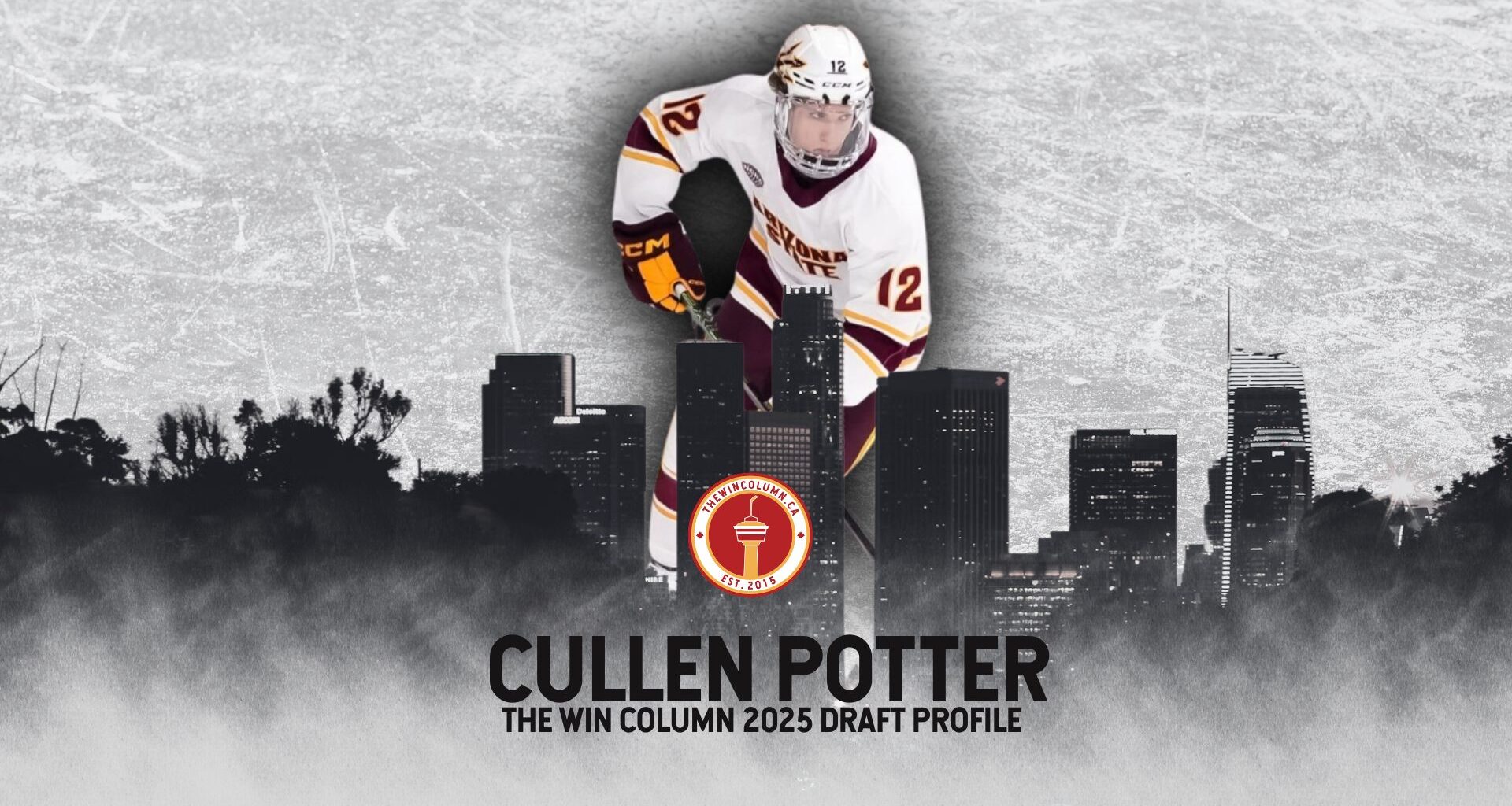Arizona State Forward Cullen Potter