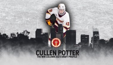 Arizona State Forward Cullen Potter