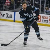 Utah's NHL team selects Mammoth as nickname | National News