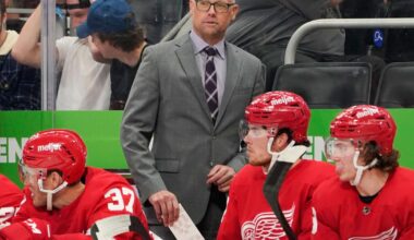 Chicago Blackhawks hire Jeff Blashill as head coach, hoping for a turnaround | National Sports