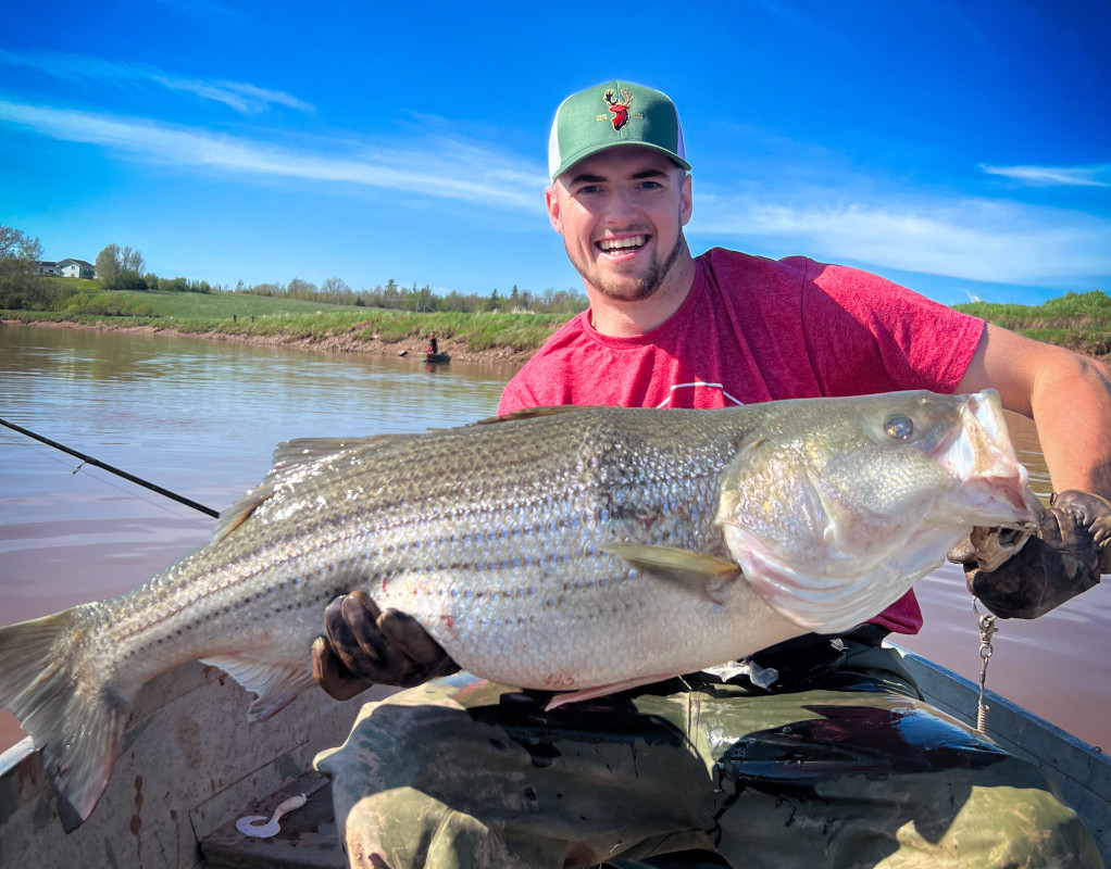 Download app from appStore