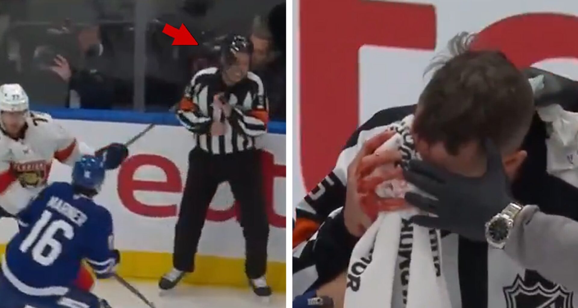 NHL Ref Hit In Eye By Stick, Leaves Games Bloodied