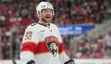 Panthers star leaves game after being hit