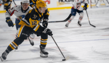 Springfield Thunderbirds | Blues Acquire F Corey Andonovski from…