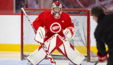 Jan Bednar, Red Wings prospect