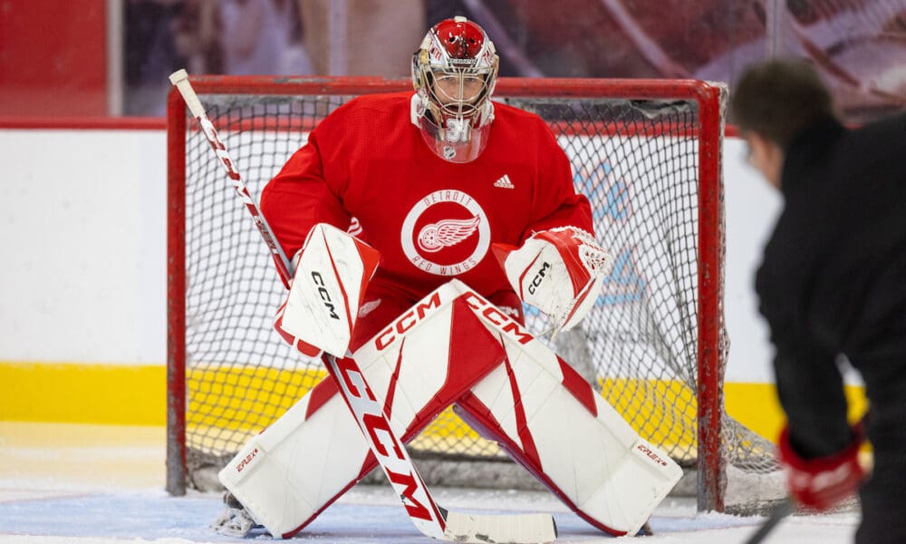 Jan Bednar, Red Wings prospect