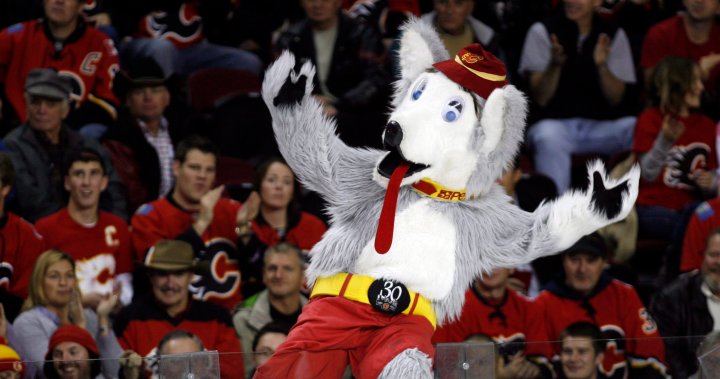 Calgary Flames’ mascot Harvey the Hound on the ballot for the 2025 Mascot Hall of Fame