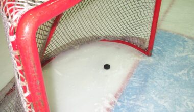 Sem standout MacDonald sets sights on future – Wilkes-Barre Citizens' Voice