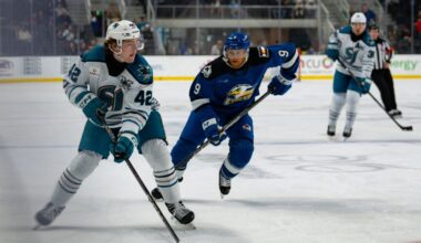 How Do NHL Scouts See Barracuda-Eagles Series? Their Predictions (+)