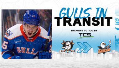 Anaheim Ducks Reassign Sam Colangelo To San Diego