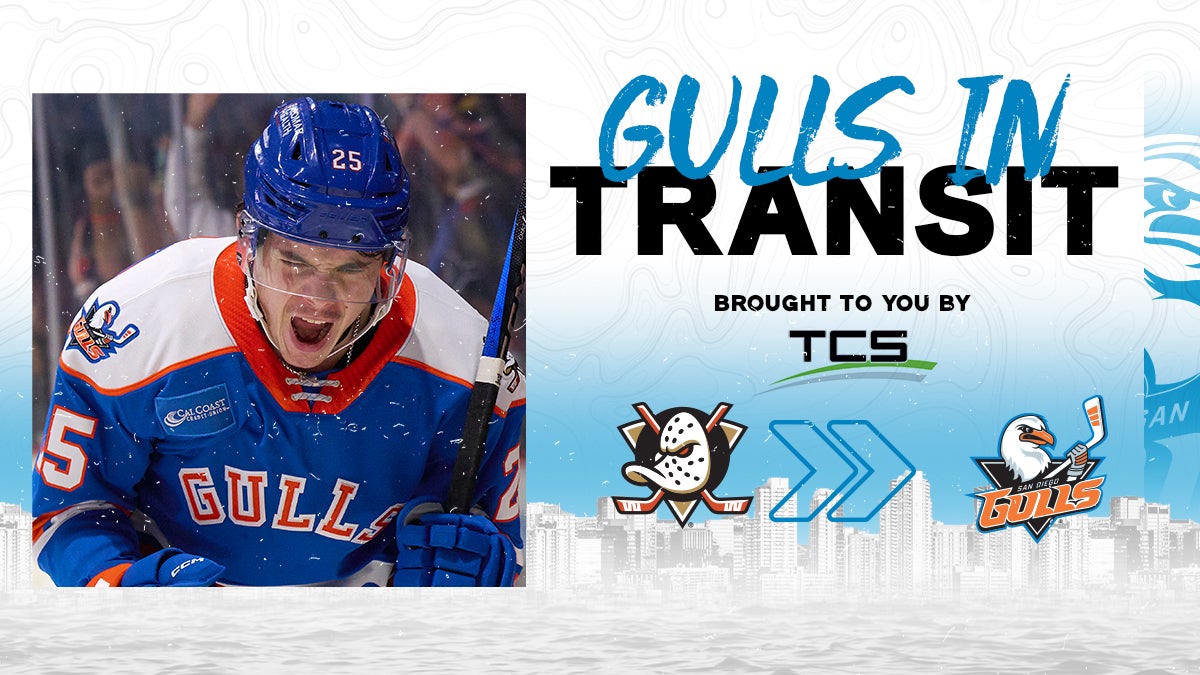 Anaheim Ducks Reassign Sam Colangelo To San Diego