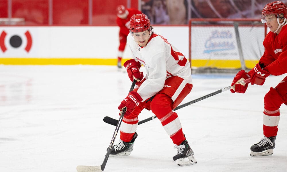 Marco Kasper, Red Wings prospect