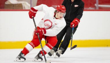 Marco Kasper, Red Wings prospect