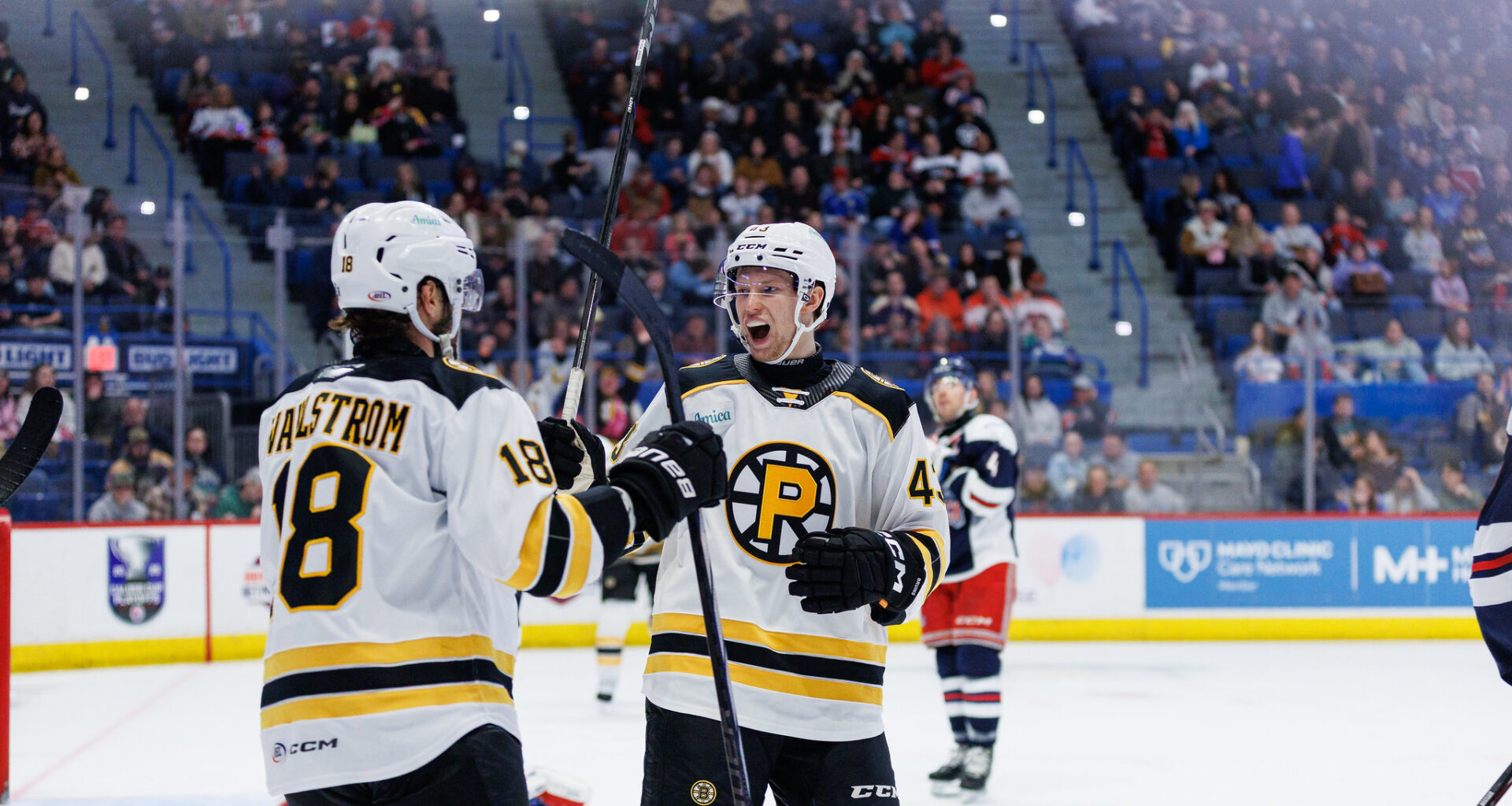 Dans Locmelis Providence Bruins