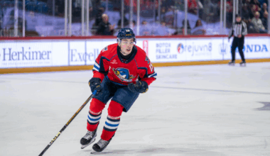 Springfield Thunderbirds | Blues Assign Dalibor Dvorsky to T-Birds