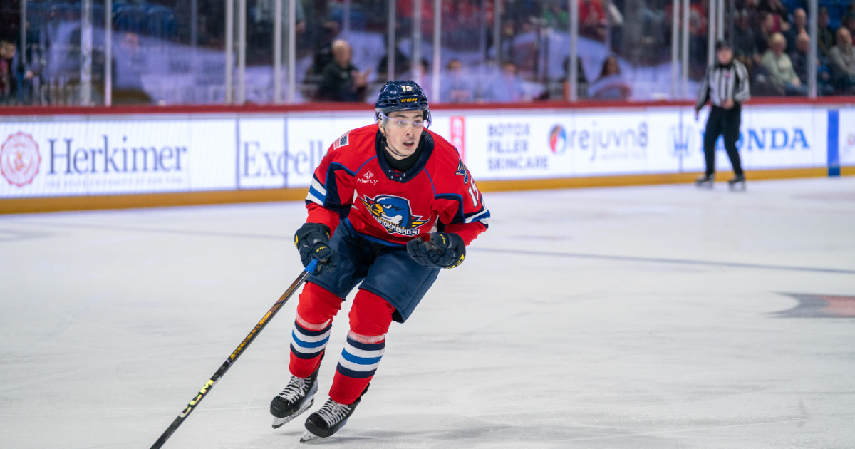 Springfield Thunderbirds | Blues Assign Dalibor Dvorsky to T-Birds