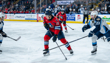 Springfield Thunderbirds | Blues Assign F Dalibor Dvorsky to T-Birds