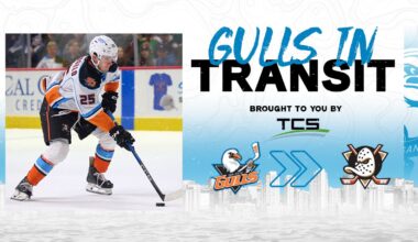 Anaheim Ducks Recall Sam Colangelo San Diego