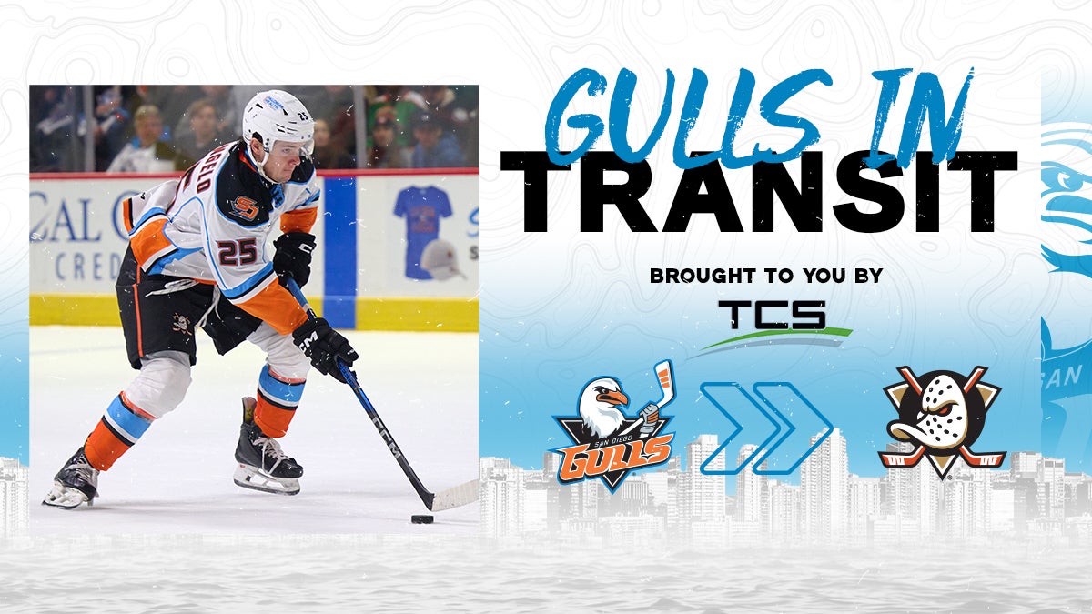 Anaheim Ducks Recall Sam Colangelo San Diego