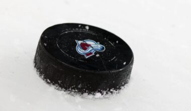 Avalanche Sign Ilya Nabokov To Entry-Level Contract