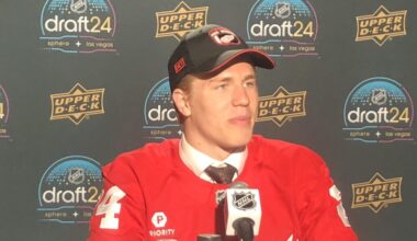 Michale Brandsegg-Nygard, Red Wings