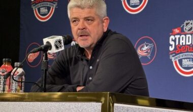 Todd McLellan, Red Wings