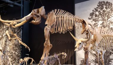 What is the name of Utah's NHL team? – Deseret News