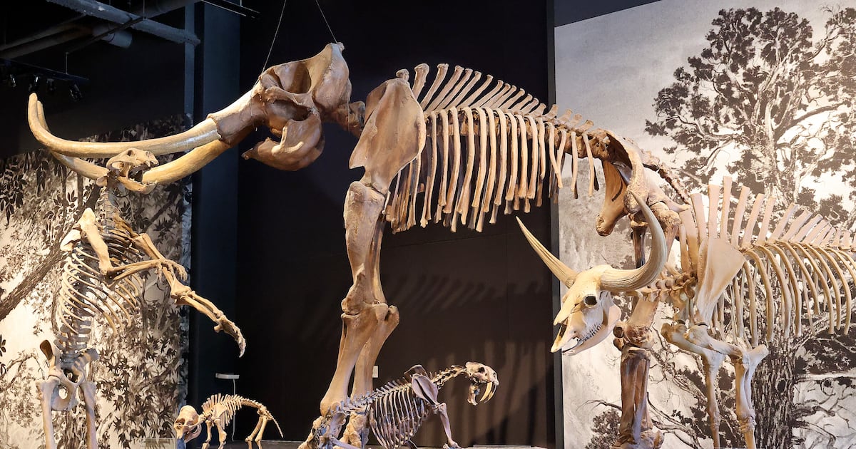 What is the name of Utah's NHL team? – Deseret News