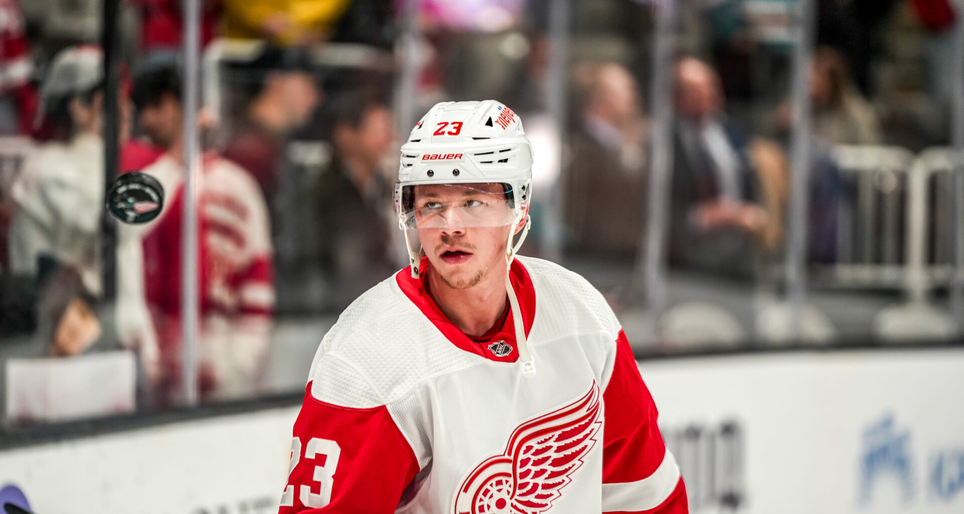 Analyzing the Red Wings' Organizational Depth Heading Into 2025-26 - The Hockey Writers -