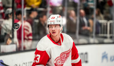 Analyzing the Red Wings' Organizational Depth Heading Into 2025-26 - The Hockey Writers -