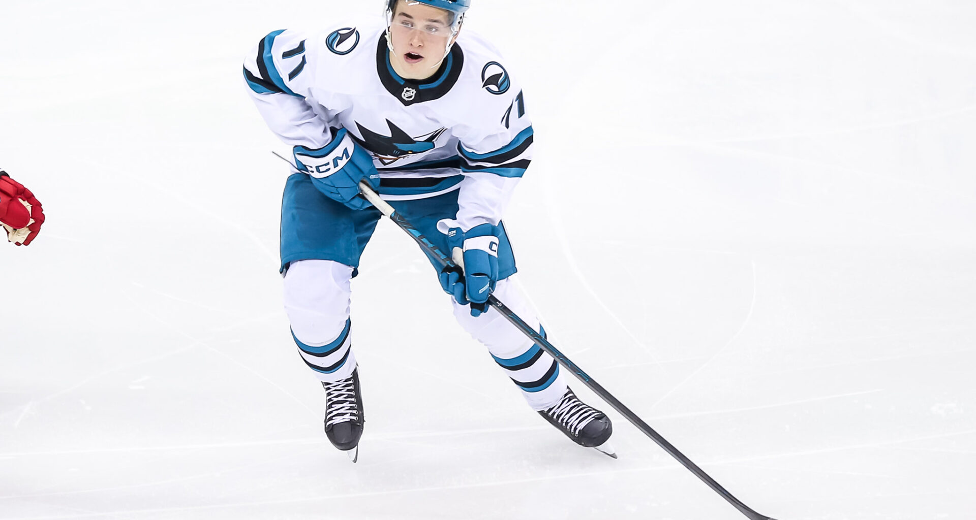 Macklin Celebrini San Jose Sharks