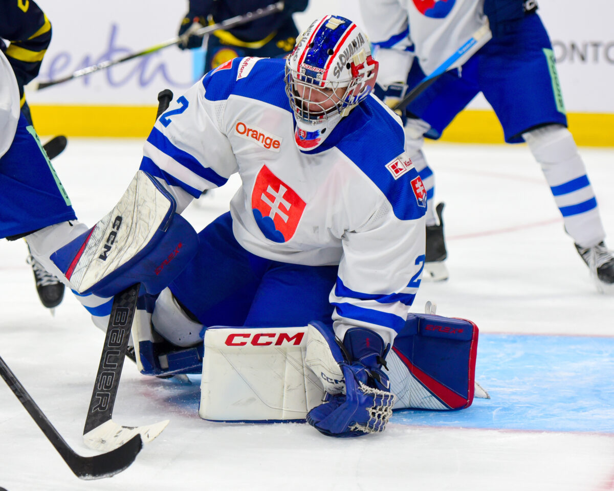 Michal Pradel Team Slovakia