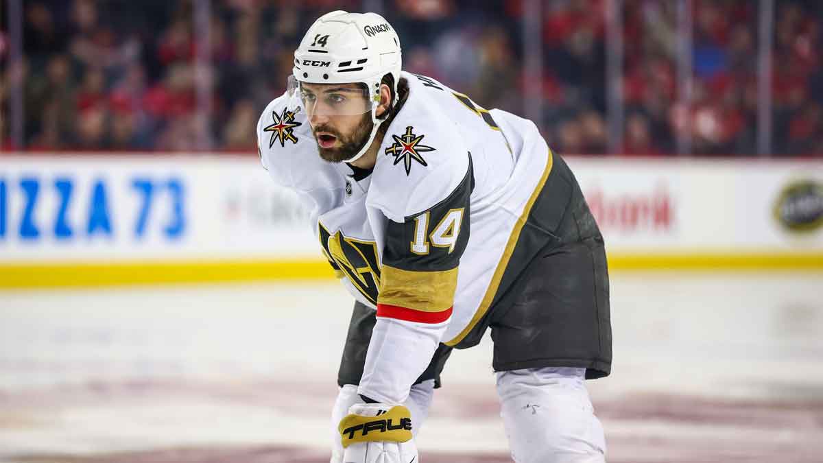 Vegas Golden Knights defenseman Nicolas Hague (14) against the Calgary Flames during the first period at Scotiabank Saddledome.