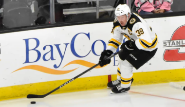 Patrick Brown #38 skating for the Providence Bruins