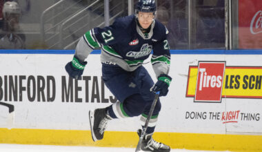 Sabres Draft Target: Radim Mrtka - The Hockey Writers -